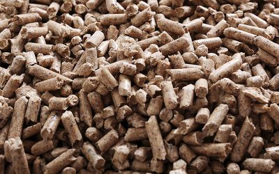 ¿Sabes cómo funciona una caldera de biomasa con extracción automática?
